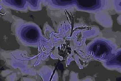   Artistic