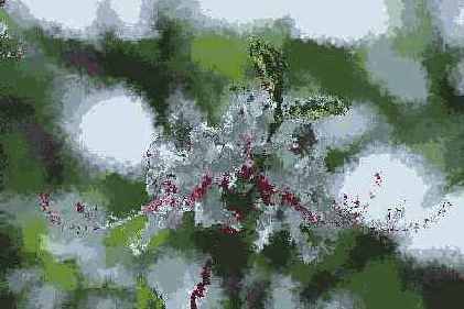   Brush Strokes