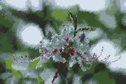   Brush Strokes