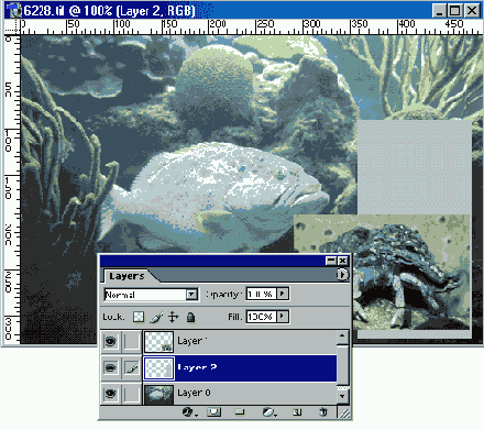Из программы Photoshop в LiveMotion