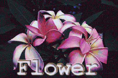   Photoshop,   