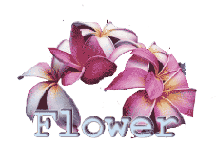   Photoshop,   