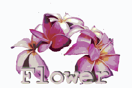   Photoshop,   