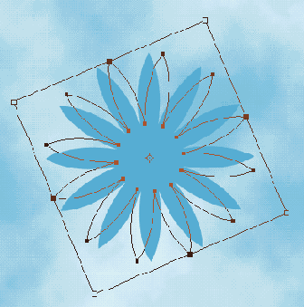       shape