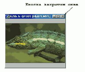    Photoshop